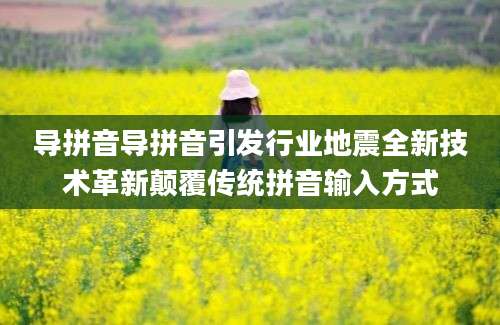 导拼音导拼音引发行业地震全新技术革新颠覆传统拼音输入方式