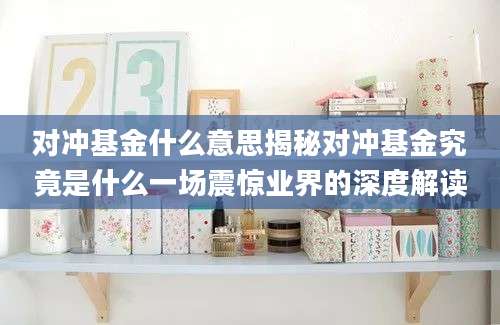 对冲基金什么意思揭秘对冲基金究竟是什么一场震惊业界的深度解读