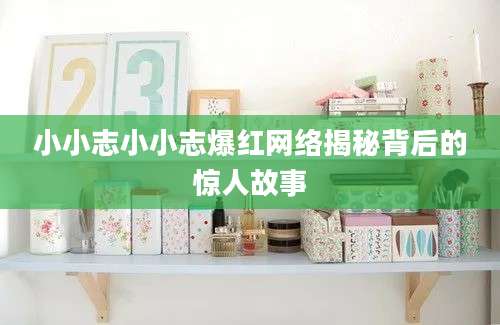 小小志小小志爆红网络揭秘背后的惊人故事